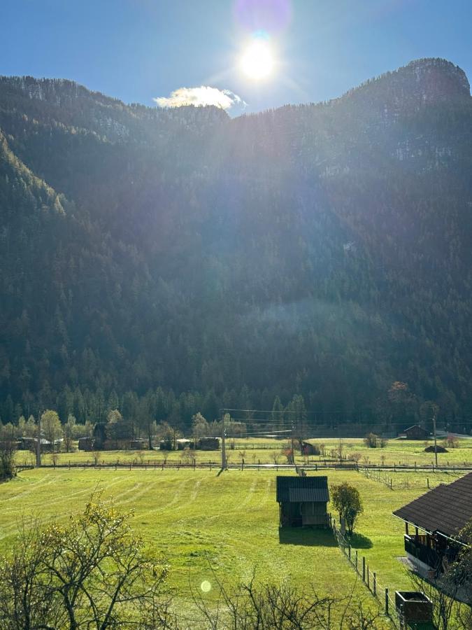 فندق Haus Edelweiss اوبرترون المظهر الخارجي الصورة